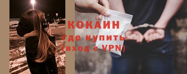 a pvp Бородино