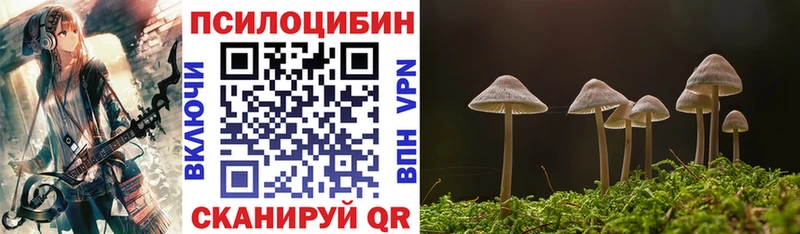купить   Дубна  Псилоцибиновые грибы Cubensis 